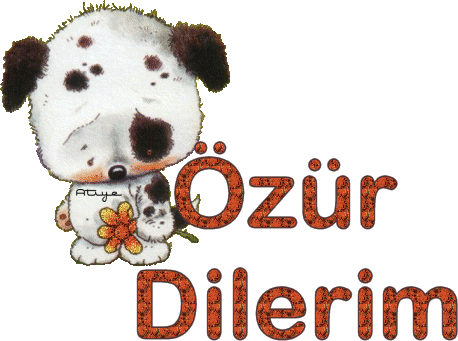 ozur_dilerim_askim (2)-db.gif